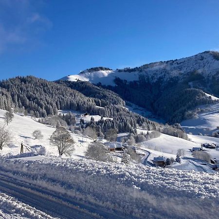 Demi Chalet Le Lachat Notre-Dame-de-Bellecombe Buitenkant foto